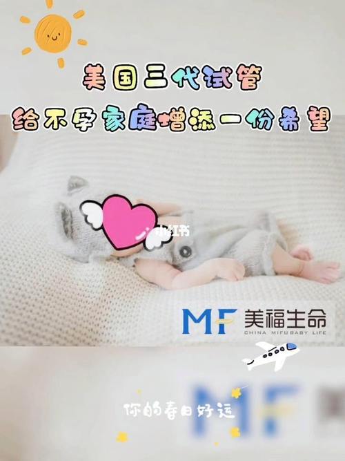 第三代试管婴儿可以包成功吗